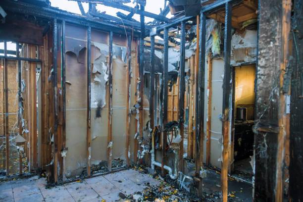 Professional Fire Damage Repair technician working in Braham, MN